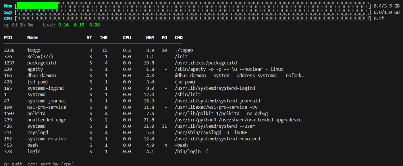 Terminal output of topgo showing CPU and memory bars